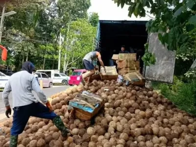菲律宾椰子货车暗藏走私香烟，1400万比索货物被警方查获
