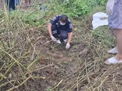割草割出“人骨”！泰国男子深入密林发现诡异一幕