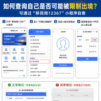 出国前可以先查一下自己的出入境记录