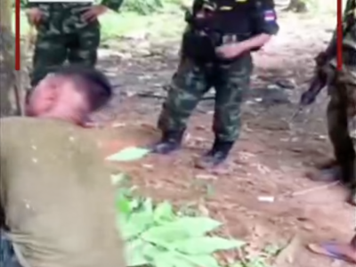 缅甸KNA内部传虐待事件，士兵遭“红蚁惩罚”