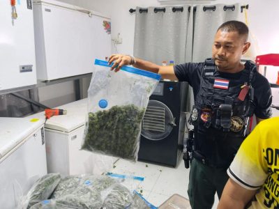 国突袭大型非法大麻加工厂！查获55公斤大麻及大量提取物