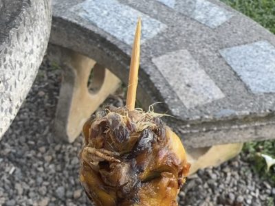在泰国吃的烤毛鸡蛋