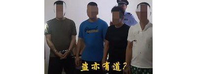 江西团伙装成“援交女”专骗日本人 称“中国人不骗中国...