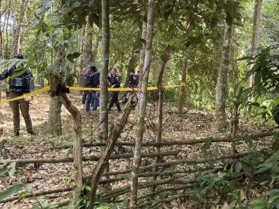 泰国南部再发枪击！巡逻队橡胶园遇袭1人身亡
