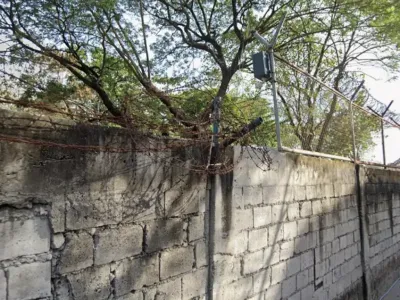 中国男子在菲律宾移民拘留所离世，中使馆要求立即调查