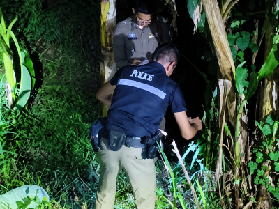 逃过警方搜捕却没逃过“电线”，泰国男子倒毙香蕉林