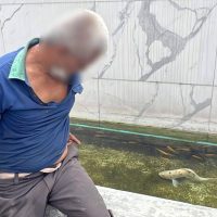泰国曼谷男子夜闯民宅猥亵锦鲤 致其死亡落网