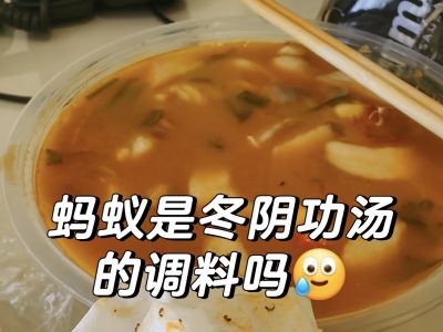 蚂蚁是冬阴功汤底调料吗？
