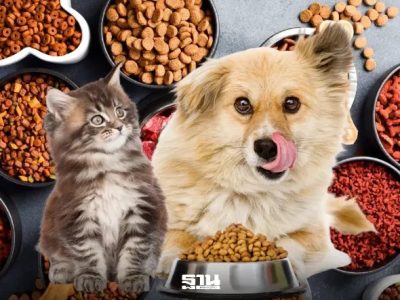 泰国宠物食品出口创新高，2025年位居全球第二！