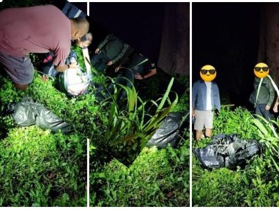泰国清迈查获141万粒冰毒，7袋毒品藏在学校门前灌木丛