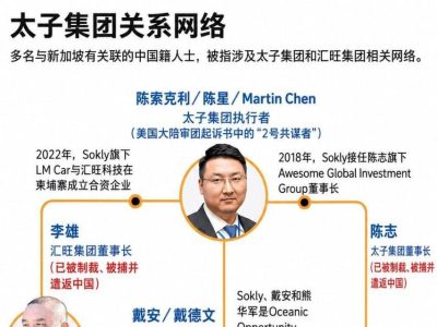 太子集团案再挖关键人物，“2号共谋者”真实身份曝光！