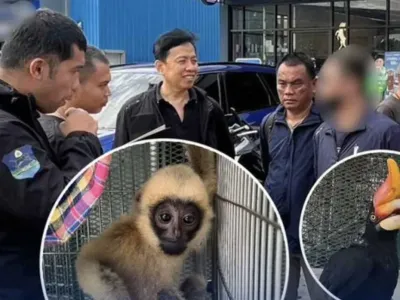 泰国曼谷油站设伏抓捕，柬埔寨男子涉嫌非法交易野生动物落网 ...