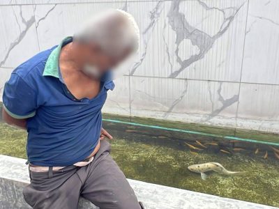 泰国曼谷男子夜闯民宅猥亵锦鲤 致其死亡落网