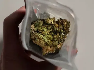 11名法国人泰国涉毒被捕，有人称根本不知道箱内藏大麻
