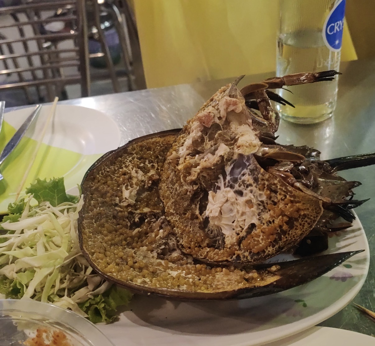 IMG_3968.jpg