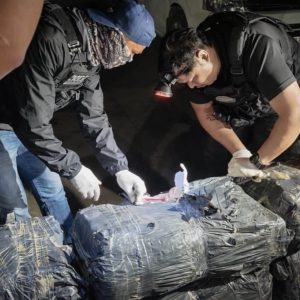 东北边境毒品流入受阻，警方重拳出击
