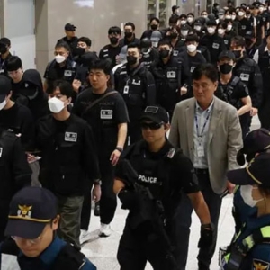 韩国遣返行动：歼灭最大规模诈骗团伙！