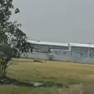 柬埔寨波贝记者揭电诈园区被捕！