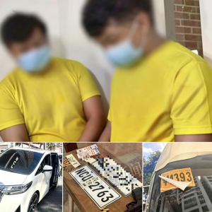 在菲中国男子开假牌车被拦，竟想掏20万现金“私了”