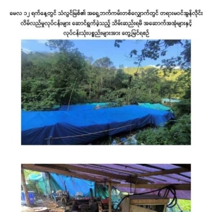 藏进山区搭帐篷搞诈骗！90名中国人被缅甸警方抓获