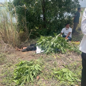 金边郊区中国男子身亡！现场已被封锁，警方正核实身份