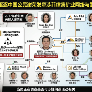 伪造护照娶菲妻！华人换马甲控大牌矿企，幕后关系网极深