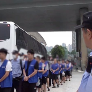 柬埔寨严打外逃？494名黑产流窜至老挝，刚落脚就被抓