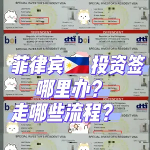 菲律宾严查升级，五大长期签证全面解析与选择指南