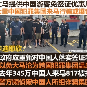 非法工作、从事诈骗！大马媒体人点名中国犯罪集团