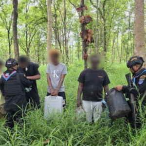 高薪客服竟是电诈陷阱，4名外籍人员逃离园区被抓