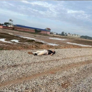 柬埔寨木牌森林旁惊现中国男子遗体！案件仍在调查中
