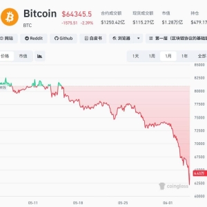 比特币大幅回调跌近50%，28万人爆仓17亿美元