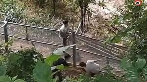 军方人员开无牌车护送？5名中国人偷渡缅甸惊爆内鬼