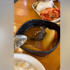 这谁还敢吃？菲律宾网红餐厅被曝汤里有老鼠