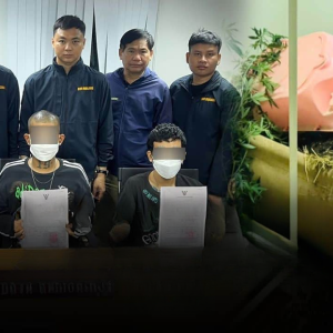 离谱到不敢信：曼谷男子被杀后竟被塞进花盆里藏尸