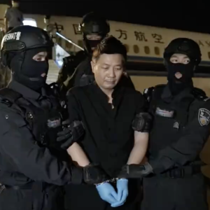 又一“金主”落网！跨国网赌集团骨干刘忍被押解回国