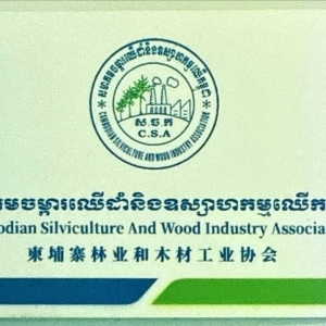 柬埔寨华人企业喊冤：未涉网诈却被停业，5人被拘11天