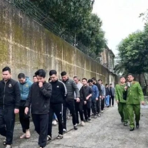执法降维！越南重拳阻断电诈源头，刚进场即被全端