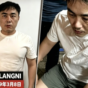 国际通缉中国男子越南落网，旅游签身份难逃追查