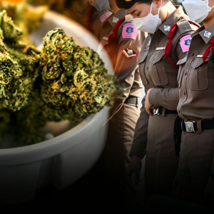 30罐薏米藏大麻！泰国女警赴中国被查，幕后链条曝光