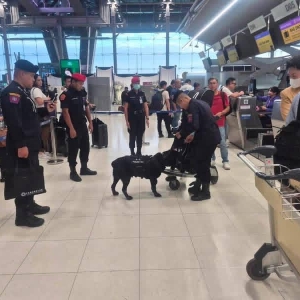 警犬K9突袭机场！泰国加强出境毒品检查行动