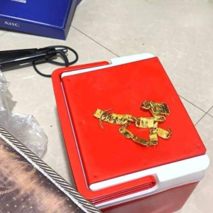 西港盗窃案侦破！中国男子伙同两名柬籍人员被移送法院