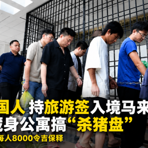 持旅游签来到马来西亚，9名中国男子为何被控“杀猪盘”？