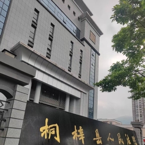 在诈骗公司待两个月，男子回国后付出法律代价