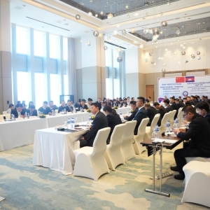 70家中国企业赴柬！新能源AI投资机会来了？
