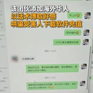 海外华人成目标？广东警方打掉“杀猪盘”诈骗团伙
