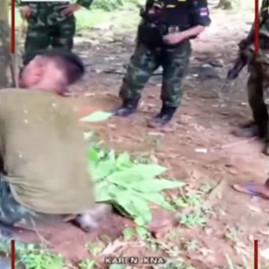 缅甸KNA内部传虐待事件，士兵遭“红蚁惩罚”
