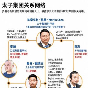 太子集团案再挖关键人物，“2号共谋者”真实身份曝光！