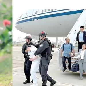 网红“雅典娜”遇害真相曝光！刘瀚文涉多宗绑架杀人案落网 ...