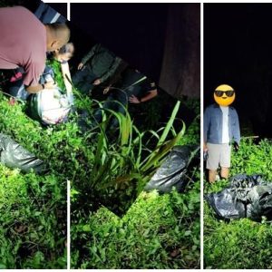 泰国清迈查获141万粒冰毒，7袋毒品藏在学校门前灌木丛